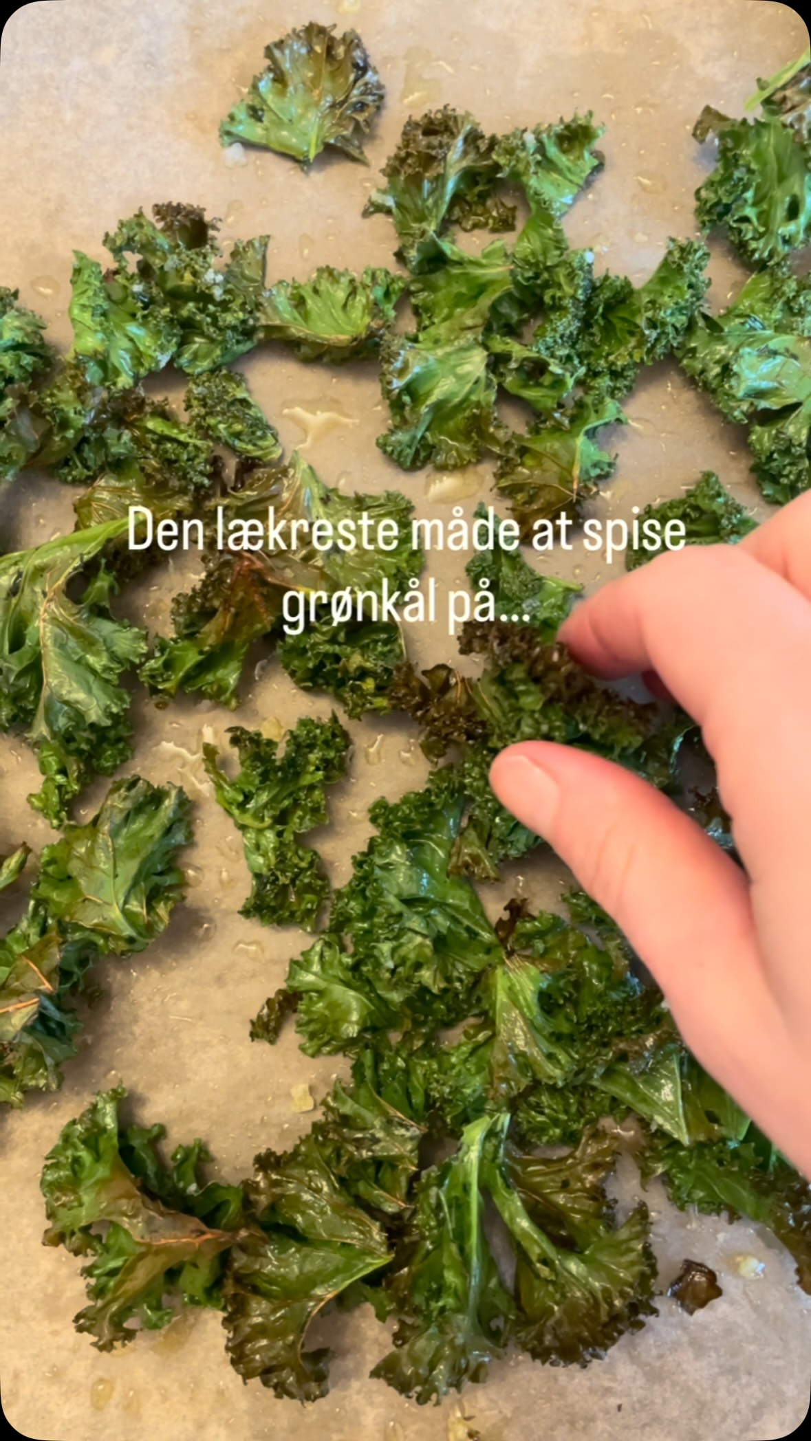 GRØNKÅLSCHIPS 💚

Grønkål er så mega sundt, og det her er bare verdens nemmeste måde at spise en masse grønkål på ☺️🌱🙌🏻

Grønkålschips opskrift: 
1 bundt grønkål (100 g uden stok)
2 spsk. olivenolie
Lidt flage salt

Tænd ovnen på 200 grader varmluft.
Skyl grønkålen og dup med et viskestykke. Pluk grønkålsbladene af stilkene og del bladene i små stykker.
Læg dem på en bageplade beklædt med bagepapir.
Kom olie og salt på og bland det rundt (brug hænderne).
Bag i ovnen i ca. 8 minutter. Kig til dem undervejs. 

Velbekomme 😘
•
•
•

#dittelykkebergmadblog #grønkål #grønkålschips