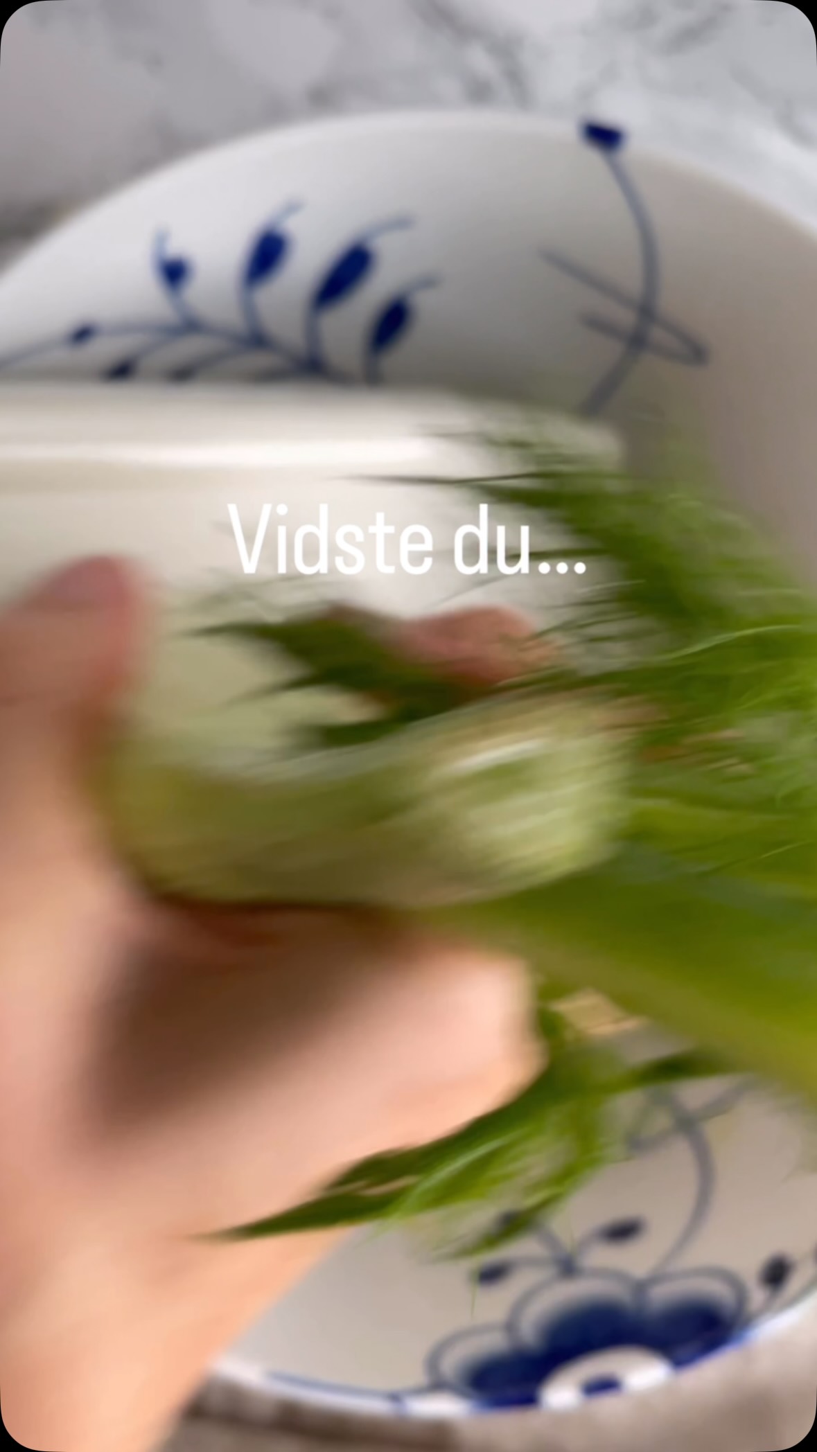 BLOMKÅLS FENNIKEL SALAT MED ÆBLE 💚

Den lækreste sprøde salat med blomkål og fennikel. 

Opskriften får du her, husk at gemme den ⬇️ 

▫️1 stk. fennikel
▫️1 blomkålshoved ( 500 g) 
▫️2 røde æbler
▫️1 dl hasselnøddekerner
▫️1 bundt dild (70 g)
▫️Vinaigrette:
▫️1 spsk. olivenolie
▫️3 spsk. hvid balsamico eddike
▫️1 tsk. ravigotte sennep
▫️1 tsk. honning
▫️Salt og peber
Varm en pande op og rist hasselnøddekernerne (panden skal være tør). Lad dem køle af på et viskestykke. Fjern det yderste fra fennikel og skær bunden af. Brug et mandolinjern og riv den helt fint. Hæld iskoldt vand på og stil den i køleskabet i minimum en halv time. Du kan evt. komme lidt isterninger ved. Riv blomkålsbuketterne på mandolinjern. Skær æblerne i halve, skær kernehuset fra og skær dem i helt tynde skiver. Brug viskestykket og kram hasselnødderne grundigt indtil skallen er helt væk på dem. Hak hasselnødderne. Rør alle ingredienserne sammen tik vinaigretten. Smag til med salt og peber. Tag den sprøde og fintsnittede fennikel op af isvandet og bland den med blomkål og æble. Hæld vinaigrette på og bland det godt. Top med hakkede hasselnødder.

Skal du prøve den? 😍

•
•
•

#dittelykkebergmadblog